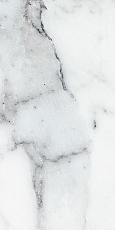 Origines Argent Glossy 12 x 24